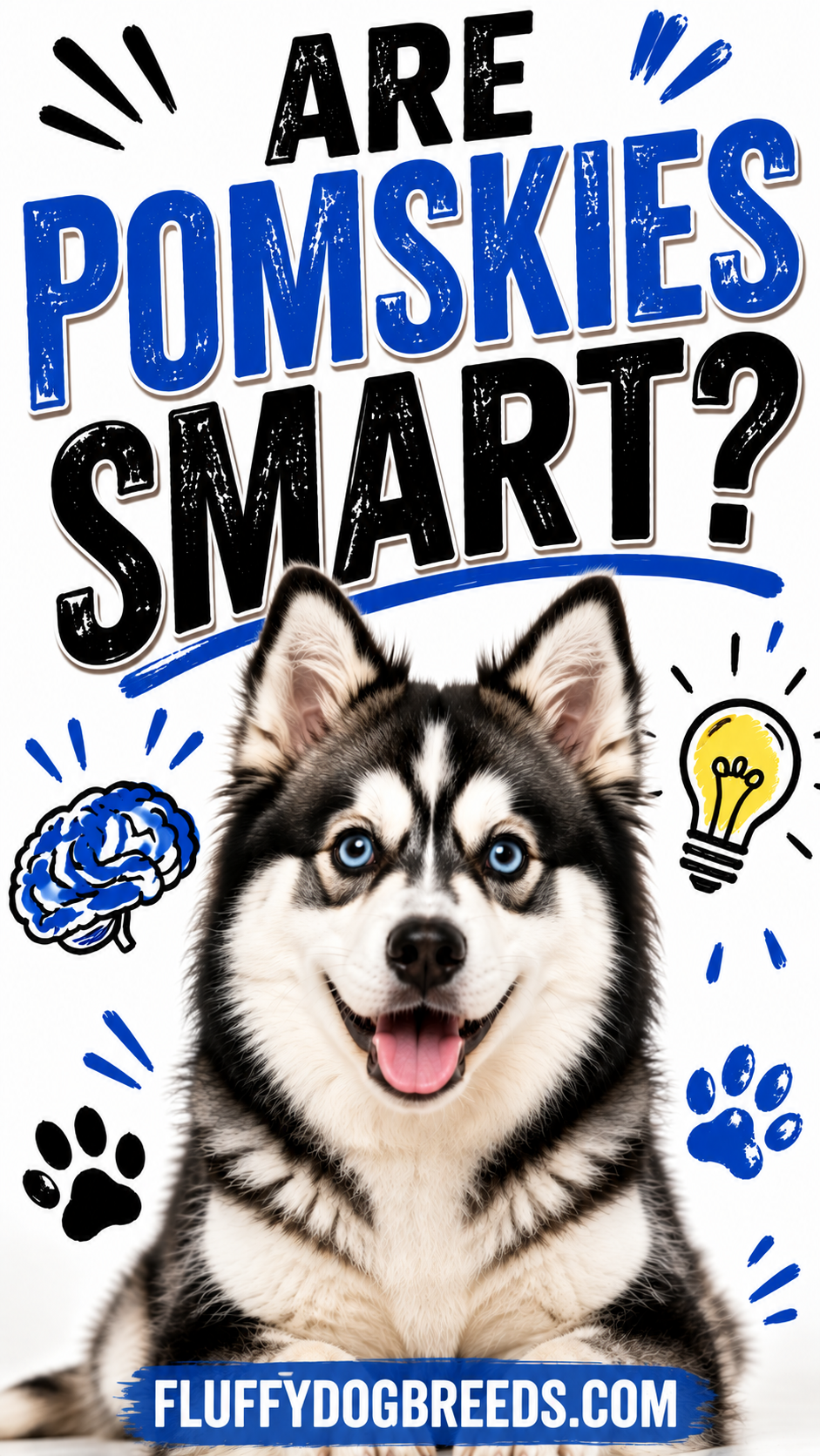 Are Pomskies Smart