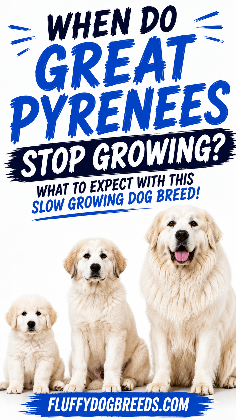 When Do Great Pyrenees Stop Growing